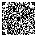 QR код "Maxi-style"