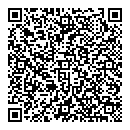 QR код "Глобус"