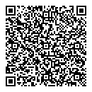 QR код "Глобус"