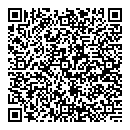 QR код "Maiden form"