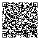 QR код "Викинг"