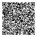 QR код "Близнецы"