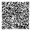QR код "Сокол"