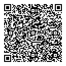 QR код "Спутник"