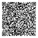 QR код "Антарктида"