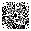 QR код "Крылья"