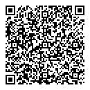 QR код "МИР"
