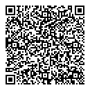 QR код "Diskservis"