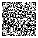QR код "Смешарики"