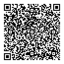 QR код "Барс"