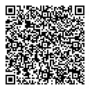 QR код "Созвездие"