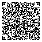 QR код "33 пингвина"