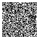 QR код "Блиц"