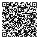 QR код "Цвет в цвет"