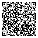 QR код "Саквояж"