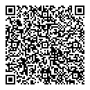 QR код "Викинг"