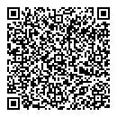 QR код "Ромашка"