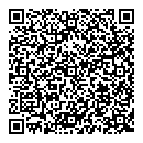 QR код "Snow Image"
