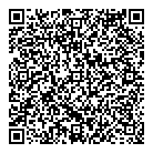 QR код "Снежная сова"