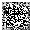 QR код "Snow Image"