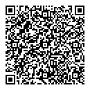 QR код "Мир"