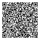 QR код "Созвездие"