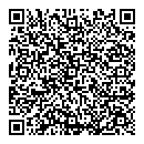 QR код "Венеция"