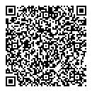 QR код "Индиго"