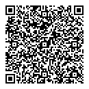 QR код "Хамелеон"