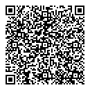 QR код "Блеск"