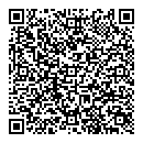QR код "Викинг"