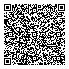 QR код "ДНС"