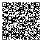QR код "ДНС"
