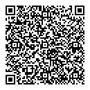 QR код "Мир шаров"