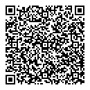 QR код "Алиса"