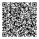QR код "Венеция"