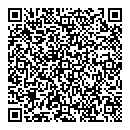 QR код "Domino"