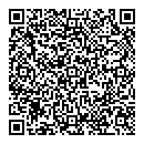 QR код "Domino"