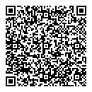 QR код "Domino"
