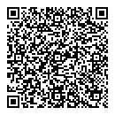 QR код "DLFstyle"