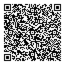 QR код "Индиго"