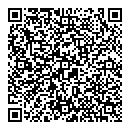 QR код "Индиго"