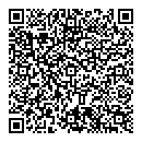 QR код "Аэлита"