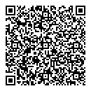 QR код "Глобус"