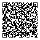 QR код "Домино"