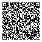 QR код "DNS"