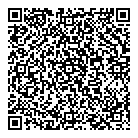 QR код "DNS"