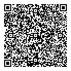 QR код "Хамелеон"