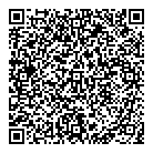 QR код "Нефертити"