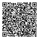 QR код "Рио"